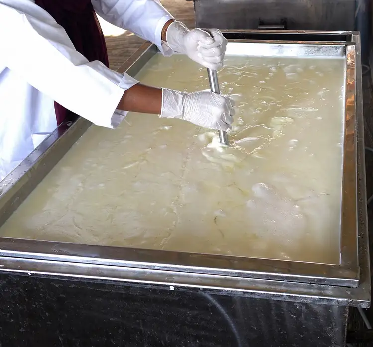 Care in Every Step of Production
